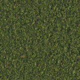 Tileable texture of green mud