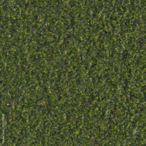 Tileable texture of green mud