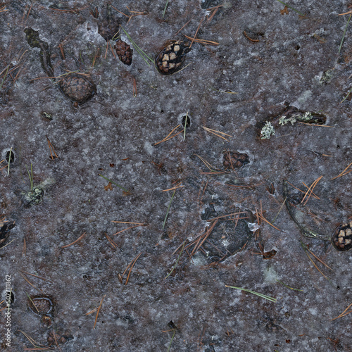 Tileable texture of frozen ground in the forest