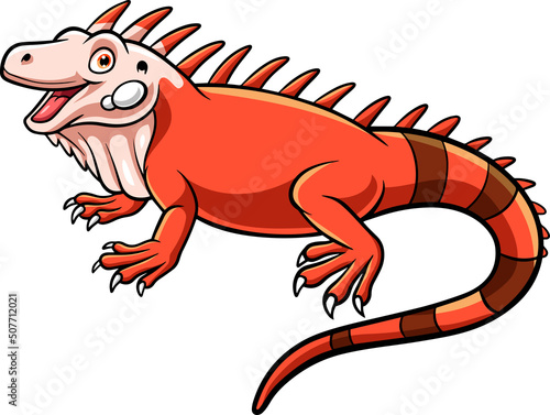 Cartoon cute iguana isolated on white background