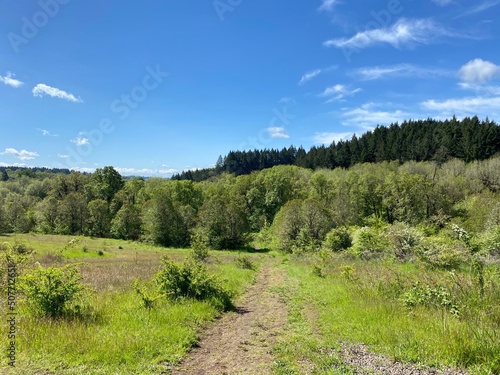 Hillside View in Corvallis, Oregon