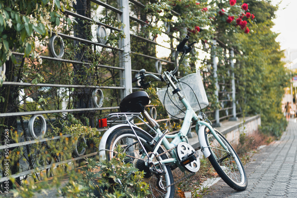 Fototapeta premium 너의 생각