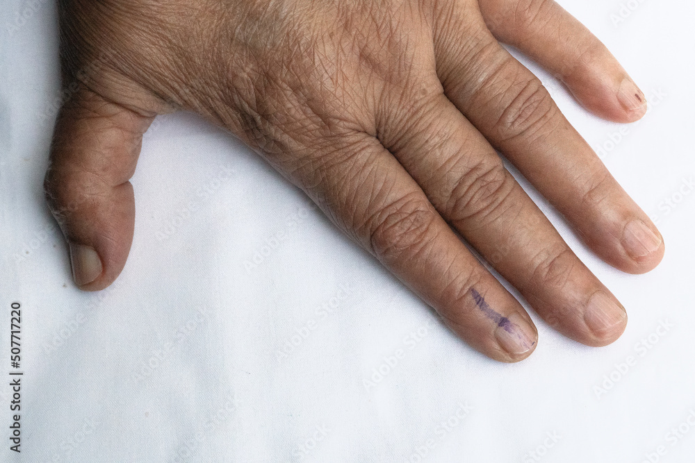 Fototapeta premium A senior citizen Indian woman voted , exercized her voting right and got her index finger inked. India is the largest democratic country in the world and Governments are formed by voting by Indians.