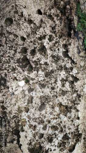 abstract background with rock texture