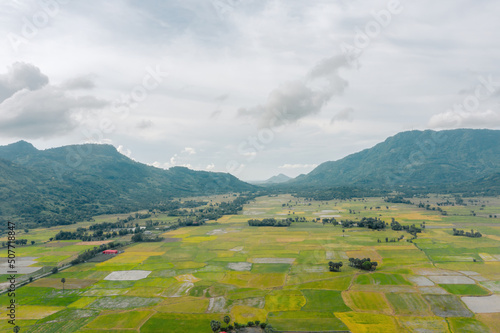 Aerial view of fresh green and yellow rice fields and palmyra trees in Mekong Delta, Tri Ton town, An Giang province, Vietnam. Ta Pa rice field. photo