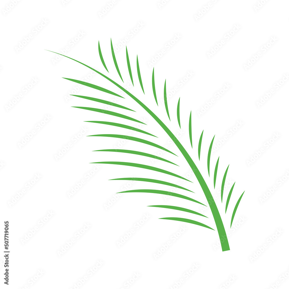 Fototapeta premium areca palm leaf icon design template vector illustration