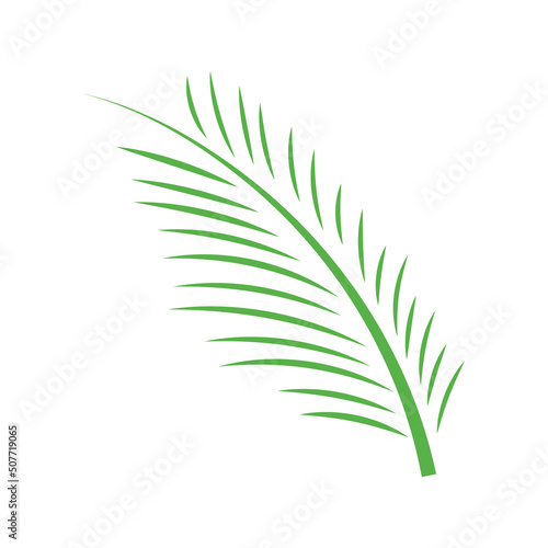 areca palm leaf icon design template vector illustration