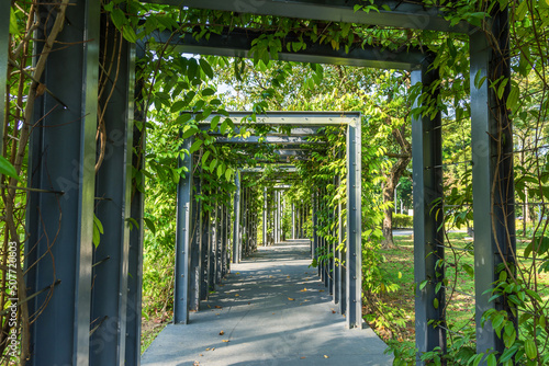 Photography Beautiful walkway view with plants in the Titiwangsa Lake Gardens, Kuala Lumpur Malaysia