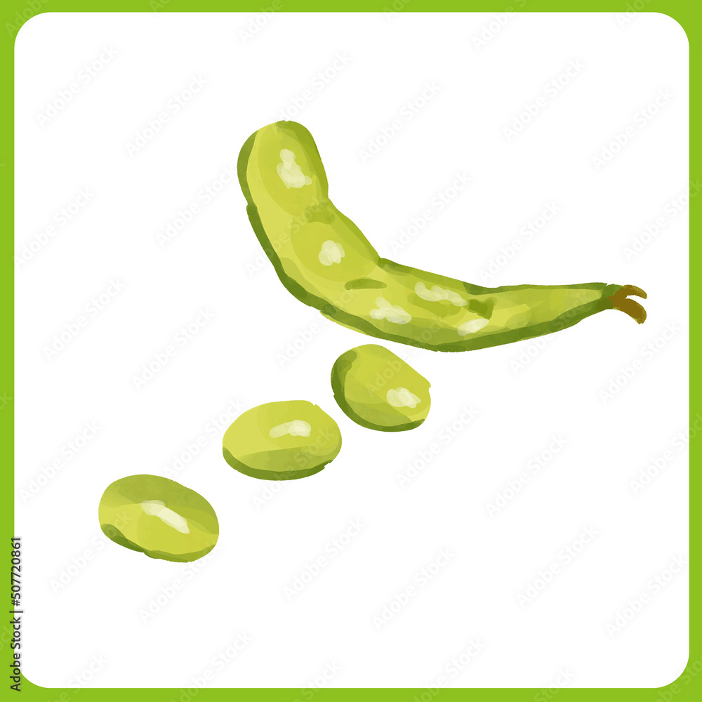 手描き水彩の枝豆イラスト Stock Vector Adobe Stock 手描き水彩の枝豆イラスト Stock Vector Adobe Stock
