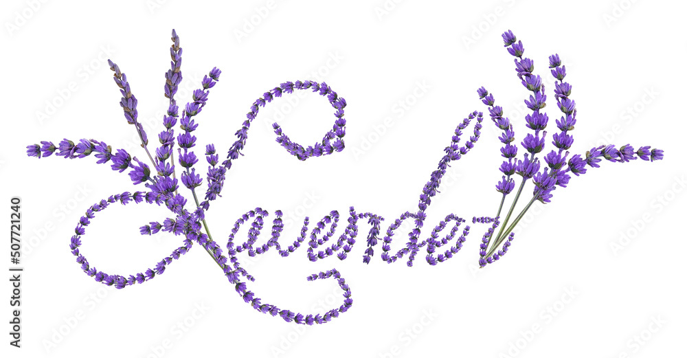 Fototapeta premium Word LAVENDER made of fresh flowers on white background