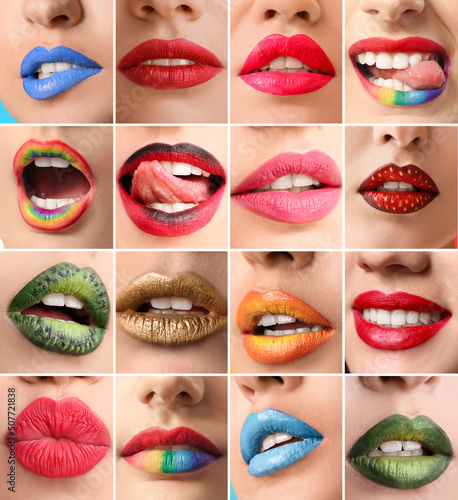 Collage with beautiful crea...