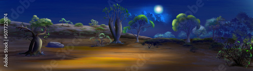 African savanna landscape at night