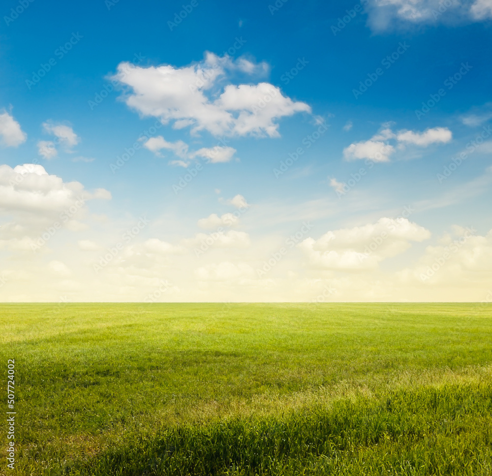 beautiful summer fields