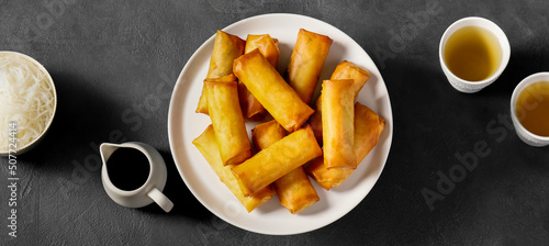 Plate with tasty fried spring rolls on dark background