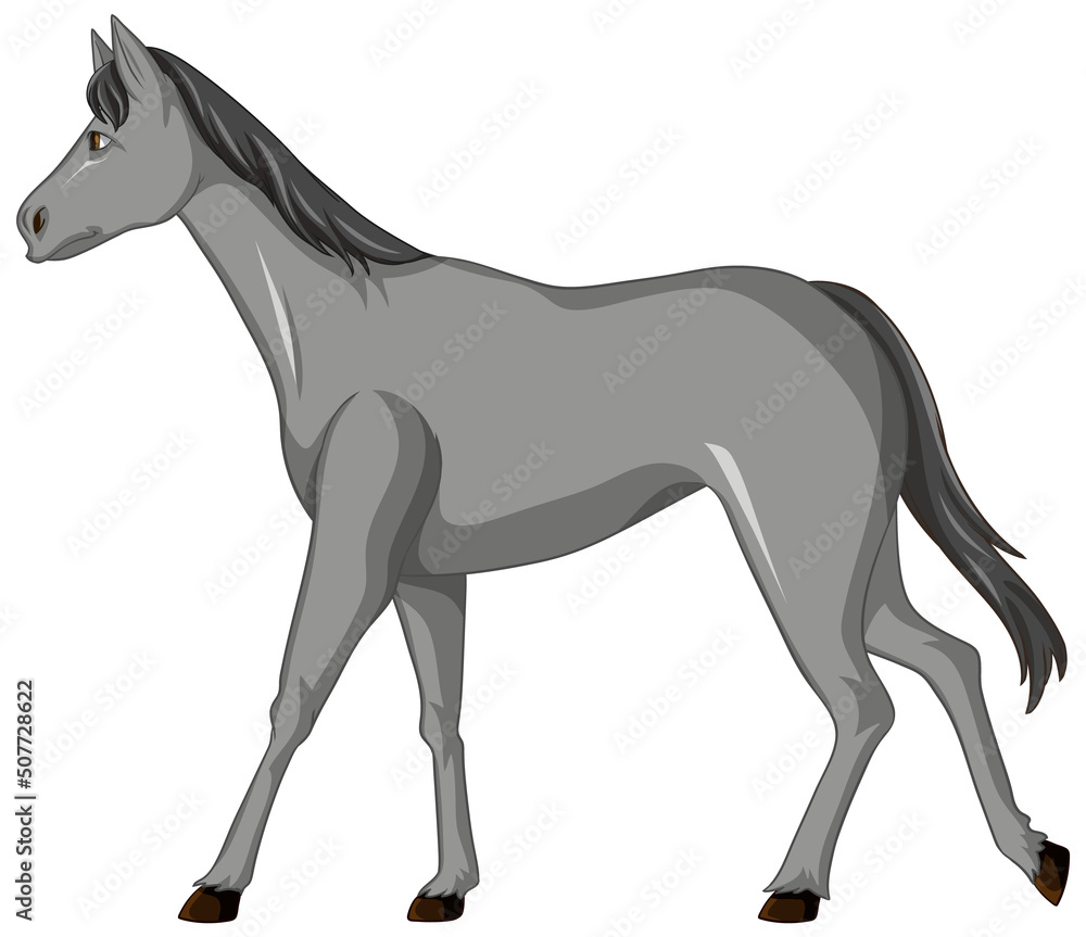 Obraz premium Grey horse walking cartoon