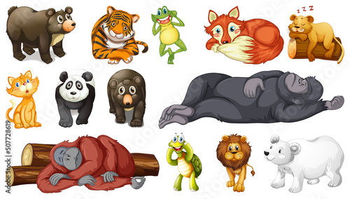 Wild animals set on white background