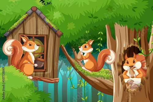 Scene with squirrels in forest