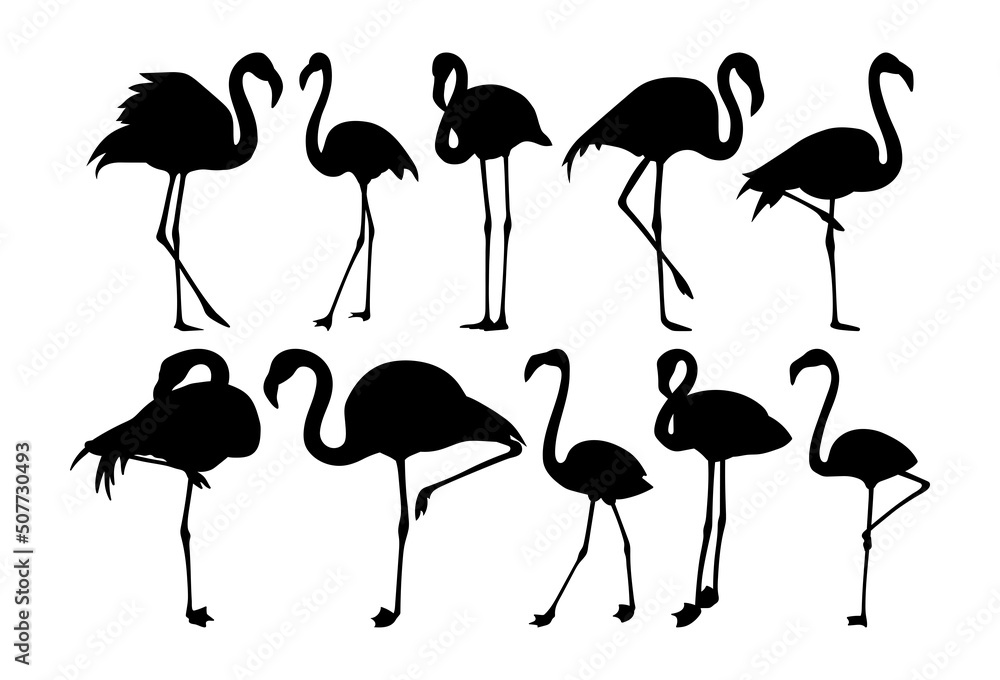 Fototapeta premium Set of flamingos silhouettes drawing on a white background.