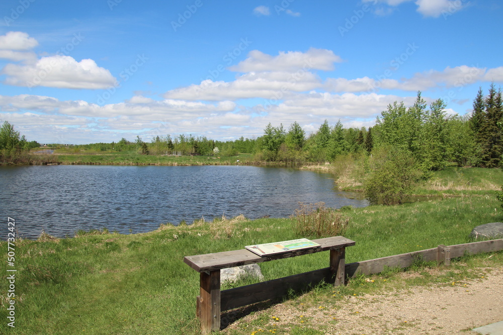 wooden bench on the lake