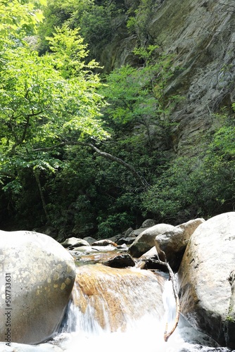 waterfall in the forest