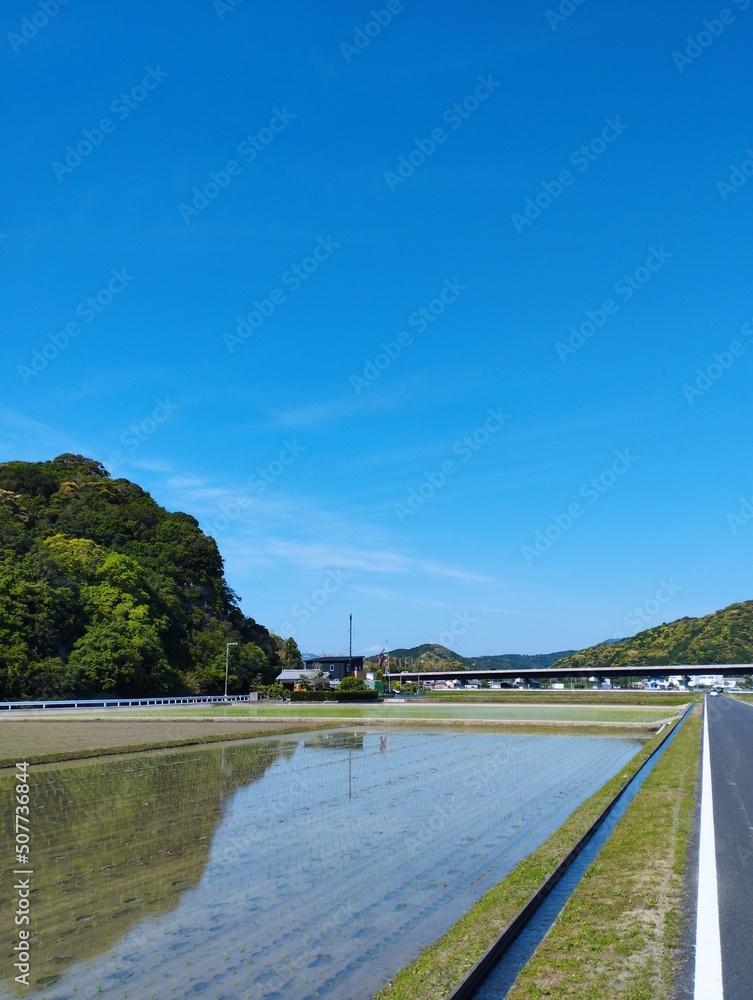 Obraz premium river and bridge