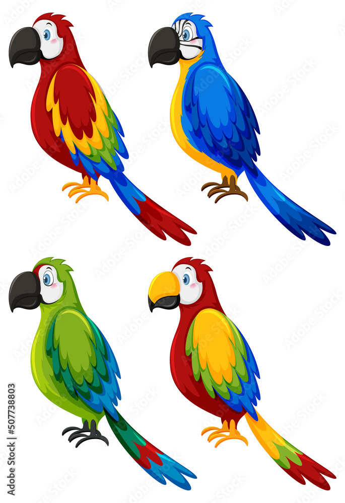 Set of different parrot birds in cartoon style