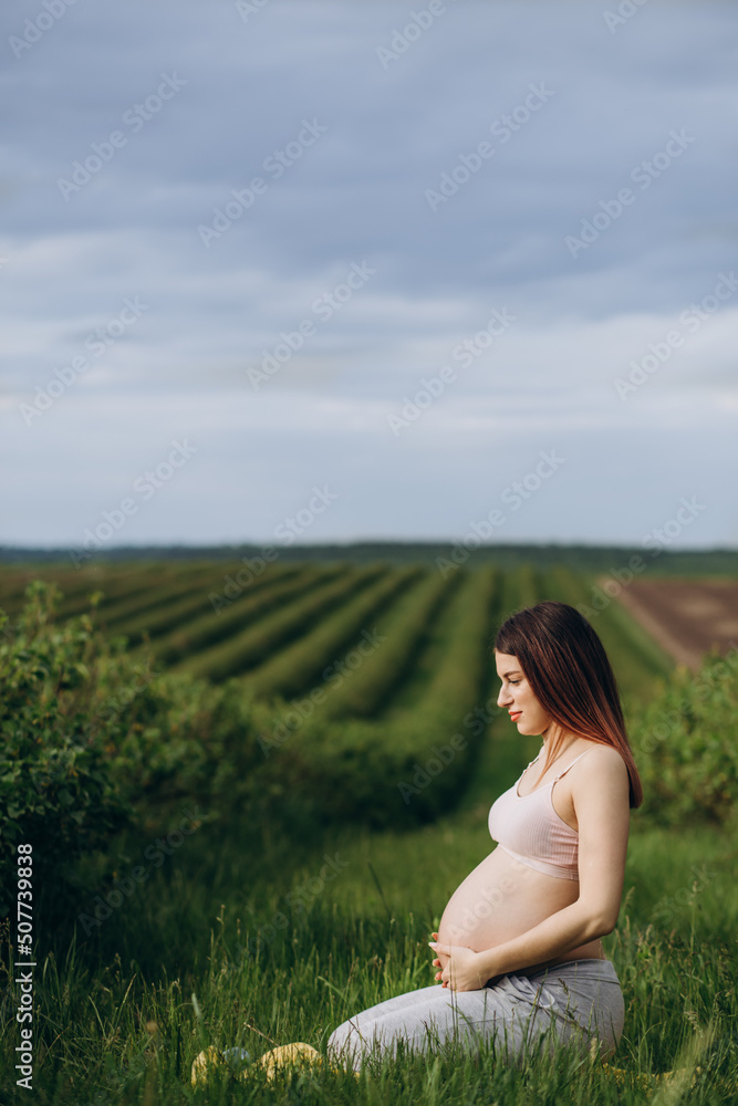 The active pregnant woman does sports exercises in a summer park. The active pregnant woman does sports exercises in a summer park.