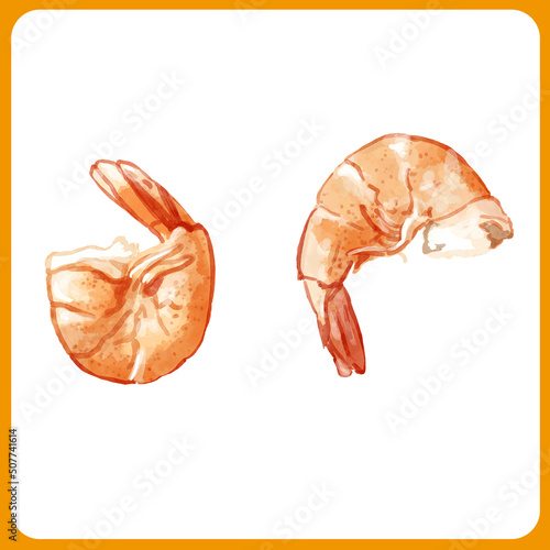 手描き水彩の蒸し海老イラスト2