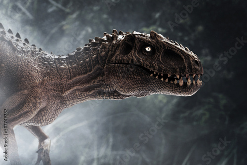 Dinosaur, Tyrannosaurus Rex in the jungle © fotokitas