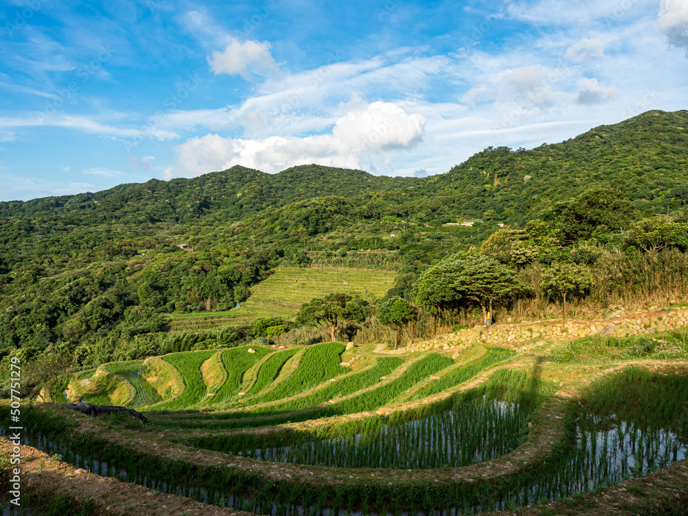 Rice field terraces in Taiwan. Rice field terraces in Taiwan.