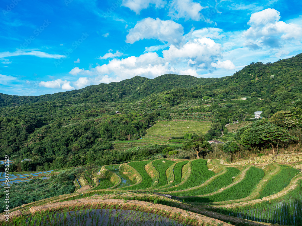 Rice field terraces in Taiwan.