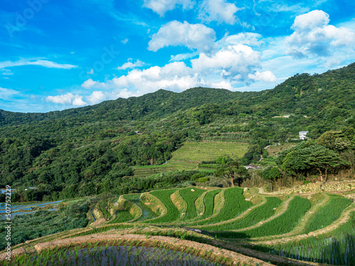 Rice field terraces in Taiwan.