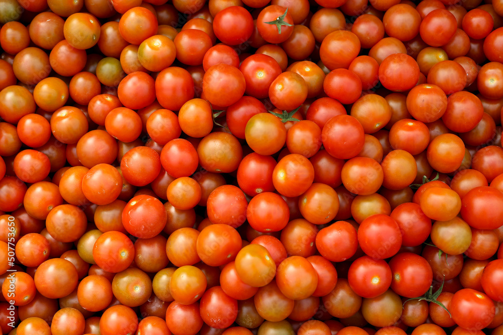 Tomates Cherry sueltos recién recolectados