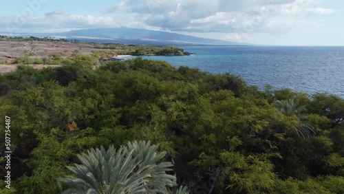 4K cinematic zoom drone shot over trees on the coastline near Kona on the Big Island of Hawaii. This lush scene, contrasted with the desert in the background, was filmed using a DJI Mini 2 drone. photo