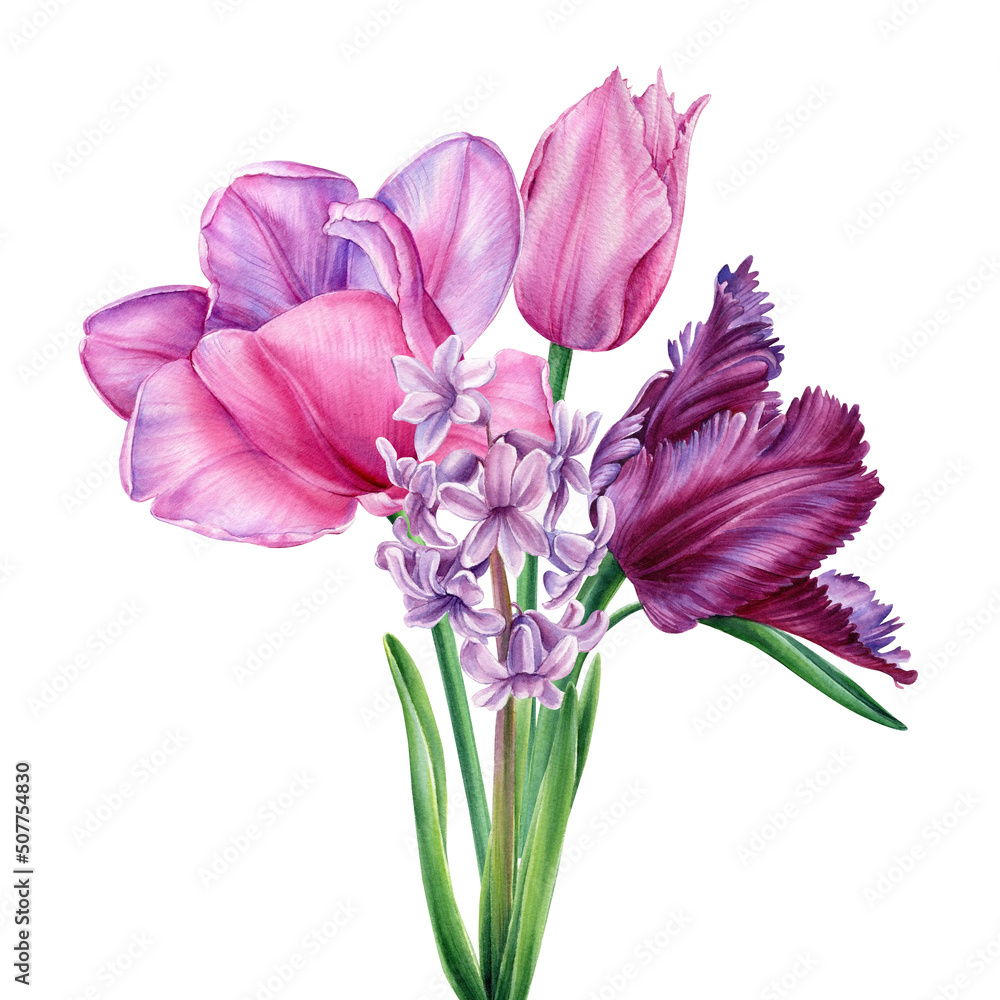 et of garden plants, tulips and hyacinth, summer flora watercolor illustration, botanical painting.