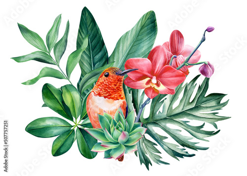 Fotografie, Obraz hummingbird bird, orchid flowers, palm leaves