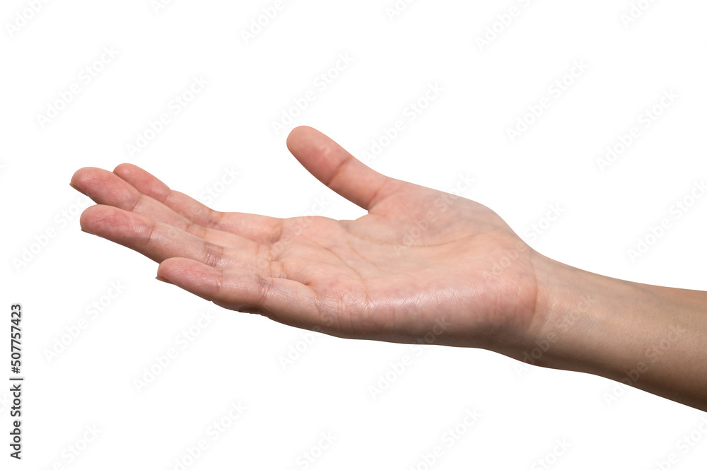 Woman hand reach and ready to help or receive. Gesture isolated on white background. Woman hand reach and ready to help or receive. Gesture isolated on white background.