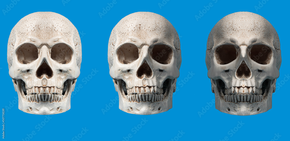 Three Skull set with difrent lights