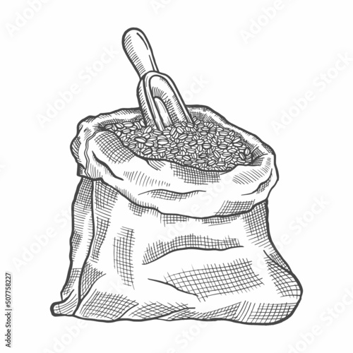 coffee bean sack seed lover single isolated hand drawn sketch with outline style