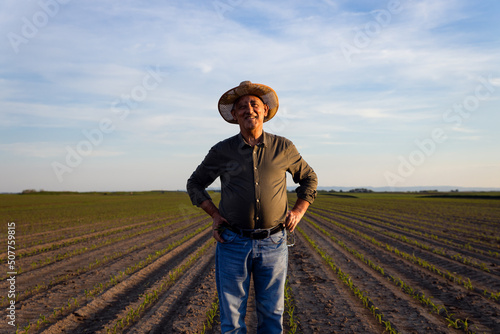Portrait of senior farmer standing in corn field at sunset.