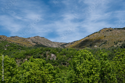 landscape with mountains