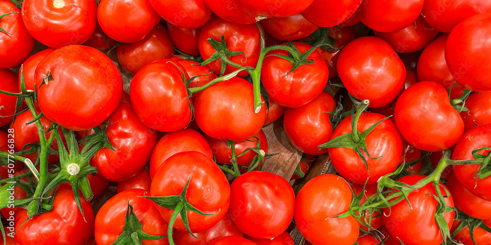 tomato green branch cherry tomatoes fruit market store healthy meal food diet snack on the table copy space food background rustic top view keto or paleo diet veggie vegan tomato green branch cherry tomatoes fruit market store healthy meal food diet snack on the table copy space food background rustic top view keto or paleo diet veggie vegan