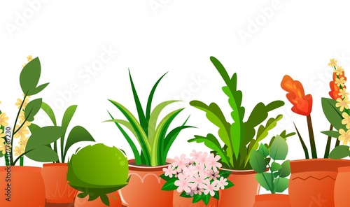 Indoor plants and flowers. Seamless horizontal composition. In ceramic pots. Homemade beautiful herbs. Isolated on white background. Cartoon fun style. Vector
