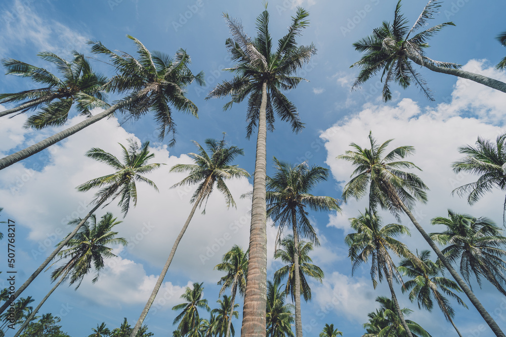 Beautiful mountains with palms landscape in the ocean