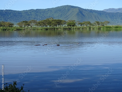 Ngorongoro Krater Tansania photo