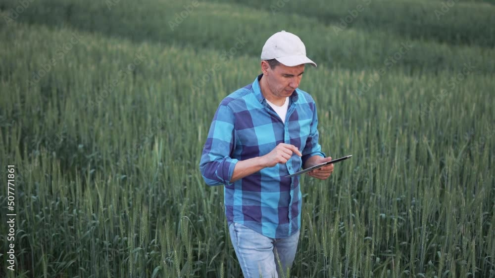 Agricultural business. Farmer in wheat field with tablet. Agriculture. Farmer organic business. Green field of organic wheat. Agriculture concept. Farmer with a tablet walks through a wheat field. Agricultural business. Farmer in wheat field with tablet. Agriculture. Farmer organic business. Green field of organic wheat. Agriculture concept. Farmer with a tablet walks through a wheat field.