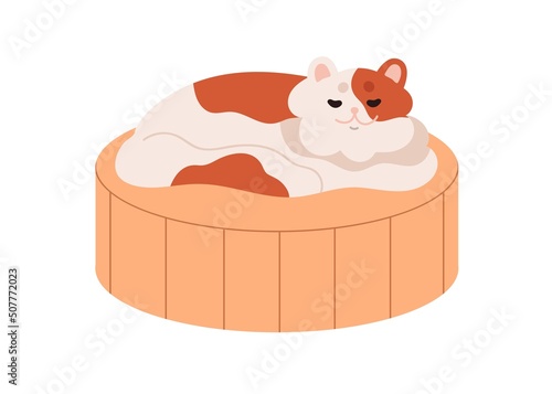 Happy cat relaxing on cushion, pet bed. Cute home kitty lying, sleeping on co...
