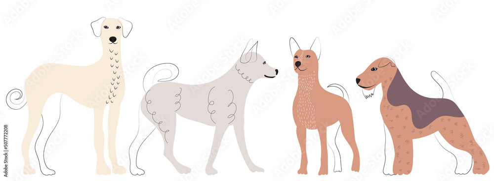 dogs of different breeds doodle sketch, outline