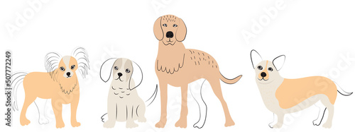 Fototapeta Naklejka Na Ścianę i Meble -  dogs of different breeds doodle sketch, outline, isolated, vector