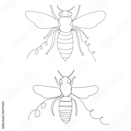 bee drawing in one continuous line, sketch, isolated, vector